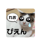 れおさんスタンプ3（個別スタンプ：11）