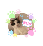れおさんスタンプ3（個別スタンプ：16）