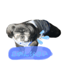 プー！！！！！（個別スタンプ：3）