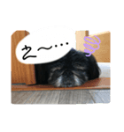 プー！！！！！（個別スタンプ：5）