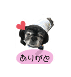 プー！！！！！（個別スタンプ：7）