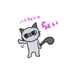 猫のハイネ（個別スタンプ：1）