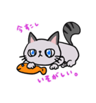 猫のハイネ（個別スタンプ：3）