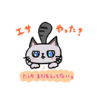 猫のハイネ（個別スタンプ：4）