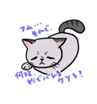 猫のハイネ（個別スタンプ：5）