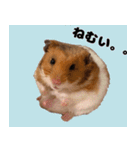 おかもんどフレンズ（個別スタンプ：7）