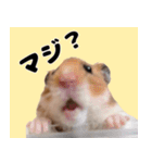 おかもんどフレンズ（個別スタンプ：8）