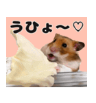 おかもんどフレンズ（個別スタンプ：9）