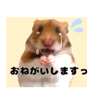 おかもんどフレンズ（個別スタンプ：10）