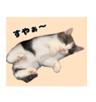 おかもんどフレンズ（個別スタンプ：18）