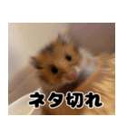 おかもんどフレンズ（個別スタンプ：20）
