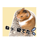 おかもんどフレンズ（個別スタンプ：21）