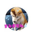 みんなと一緒 7（個別スタンプ：1）