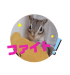 みんなと一緒 7（個別スタンプ：6）
