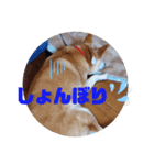 みんなと一緒 7（個別スタンプ：7）