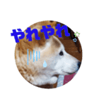 みんなと一緒 7（個別スタンプ：9）