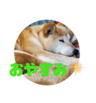 みんなと一緒 7（個別スタンプ：10）