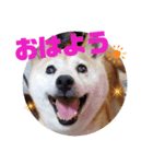 みんなと一緒 7（個別スタンプ：14）