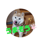 みんなと一緒 7（個別スタンプ：16）