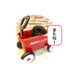 ペキニーズ❤︎Love（個別スタンプ：40）
