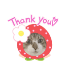 〜ねこねこ日和〜（個別スタンプ：14）