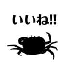 影絵◆カエル・トカゲ・蝸牛など身近な生物（個別スタンプ：3）