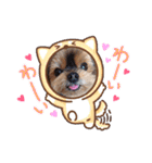ヨーキーロビンの毎日スタンプ2（個別スタンプ：12）