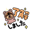 ヨーキーロビンの毎日スタンプ2（個別スタンプ：20）