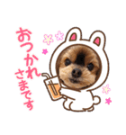 ヨーキーロビンの毎日スタンプ2（個別スタンプ：22）