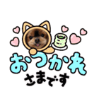 ヨーキーロビンの毎日スタンプ2（個別スタンプ：23）