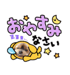 ヨーキーロビンの毎日スタンプ2（個別スタンプ：25）