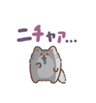 ふさふさメインクーン（でか文字）（個別スタンプ：13）