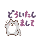 ふさふさメインクーン（でか文字）（個別スタンプ：22）