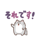 ふさふさメインクーン（でか文字）（個別スタンプ：26）