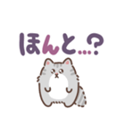 ふさふさメインクーン（でか文字）（個別スタンプ：27）