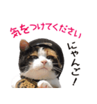 たま駅長と仲間たちスタンプ 第2弾（個別スタンプ：1）