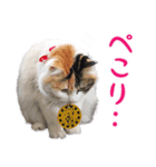 たま駅長と仲間たちスタンプ 第2弾（個別スタンプ：7）