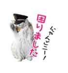 たま駅長と仲間たちスタンプ 第2弾（個別スタンプ：8）