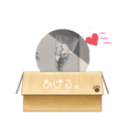 ばらばらすたんぷ（個別スタンプ：4）