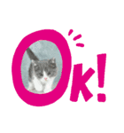。。はなちゃん。。（個別スタンプ：1）