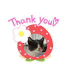 。。はなちゃん。。（個別スタンプ：3）