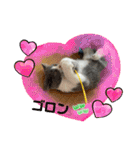 。。はなちゃん。。（個別スタンプ：4）