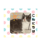 。。はなちゃん。。（個別スタンプ：6）
