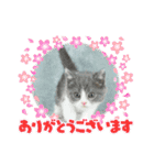 。。はなちゃん。。（個別スタンプ：7）