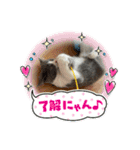 。。はなちゃん。。（個別スタンプ：8）