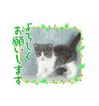 。。はなちゃん。。（個別スタンプ：9）