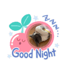 。。はなちゃん。。（個別スタンプ：11）