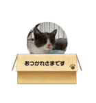 。。はなちゃん。。（個別スタンプ：15）