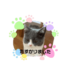。。はなちゃん。。（個別スタンプ：21）