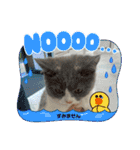 。。はなちゃん。。（個別スタンプ：24）